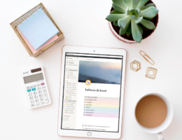 Notion bullet journal