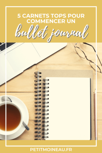 Bullet Journal®: Comparatif de 5 carnets pointillés (plein de photos!!)