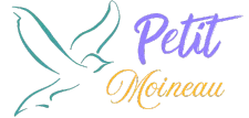 Bannière Petit Moineau