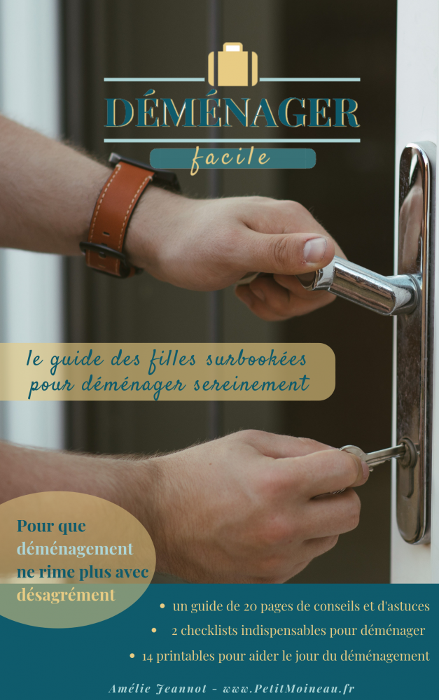 Déménager Facile efficace simple Déménager Facile efficace simple