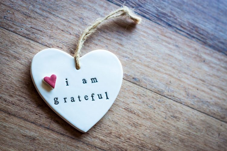 gratitude merci reconnaissance petitmoineau gratitude merci reconnaissance petitmoineau